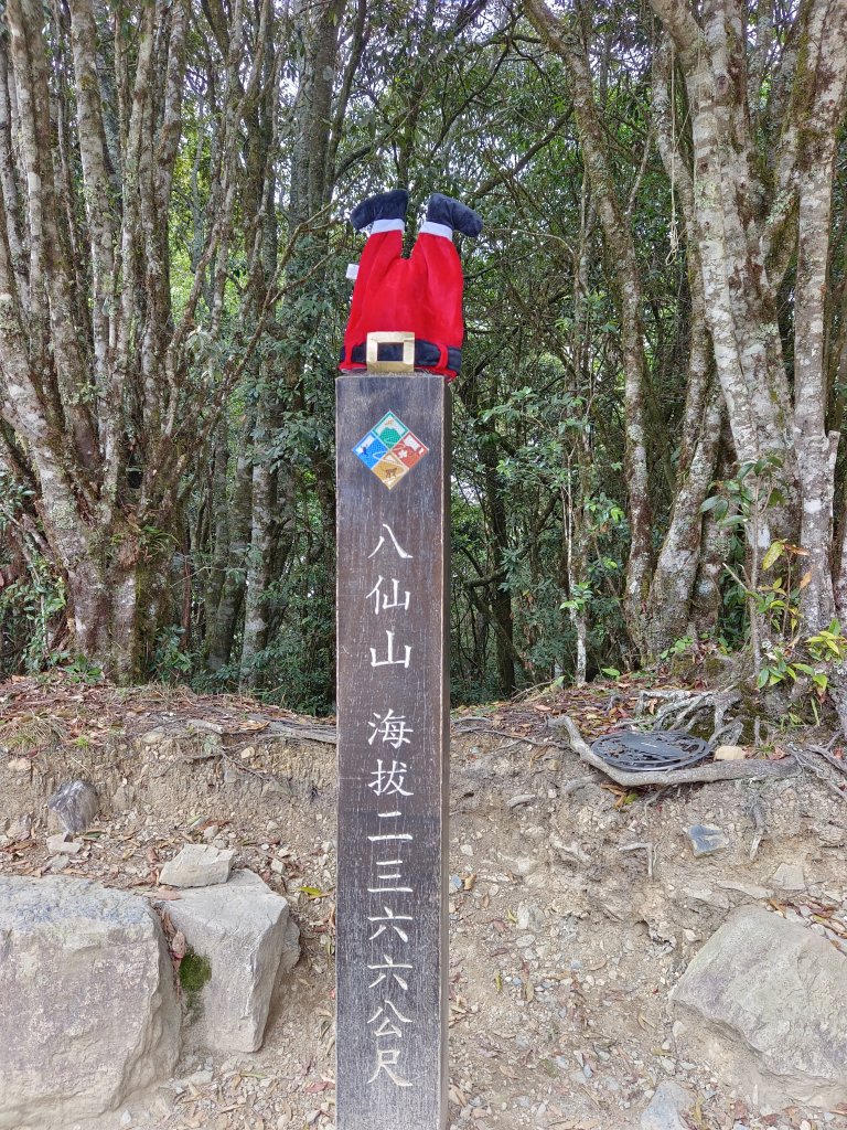 耶誕氣氛的八仙山封面圖