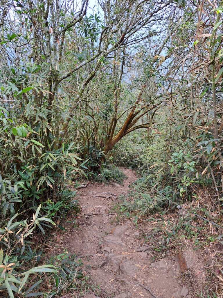 鱈葉根山+真笠山+白賓山縱走(救援中繼站起登)20230227_2046039