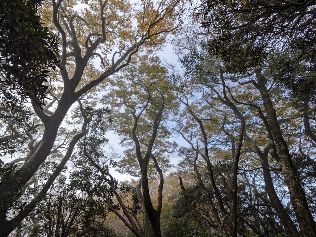 魯培山南插天山_2357478