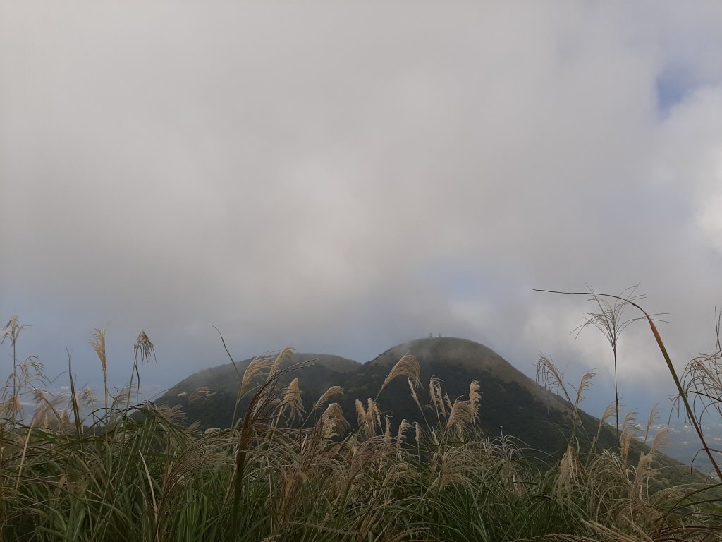 臺北大縱走2：二子坪到小油坑_1487001