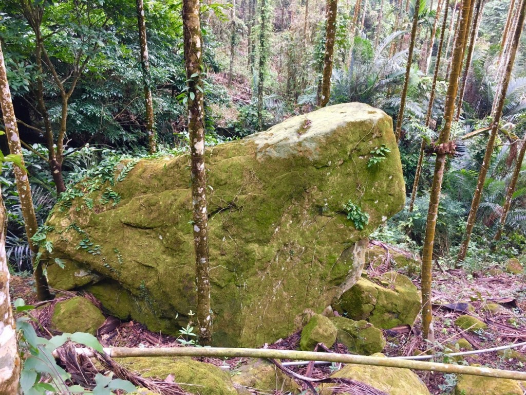 台南第一高山大凍山_240773