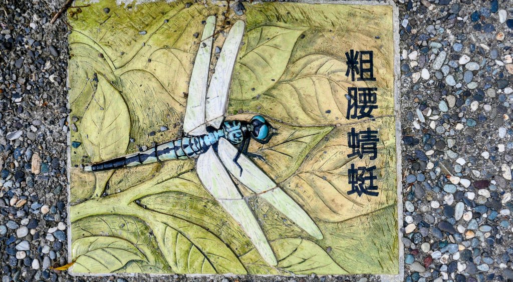 《臨江仙・碧山巖櫻花》_2714210