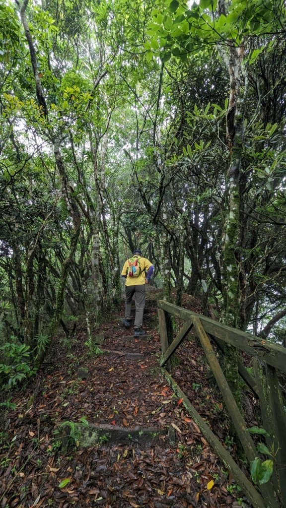 113.06.01魯壁山-東穗山之旅_2529868