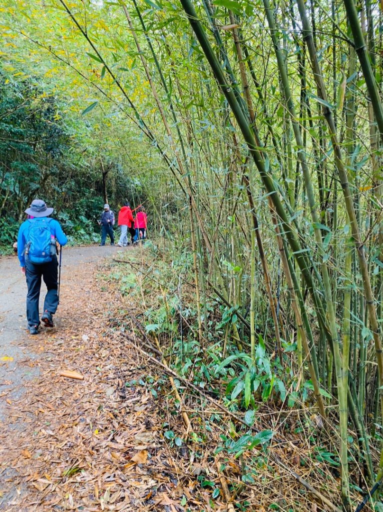 1090315臺南關仔嶺雞籠山步道_879486