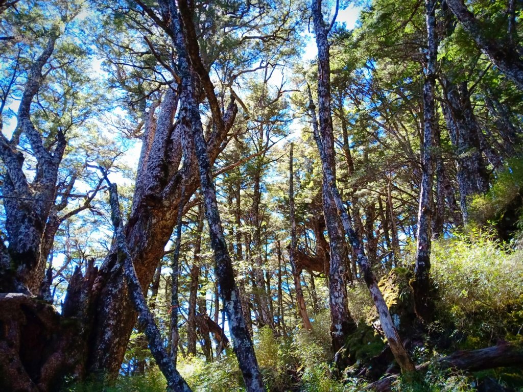 20220227_庫哈諾辛山_1620983