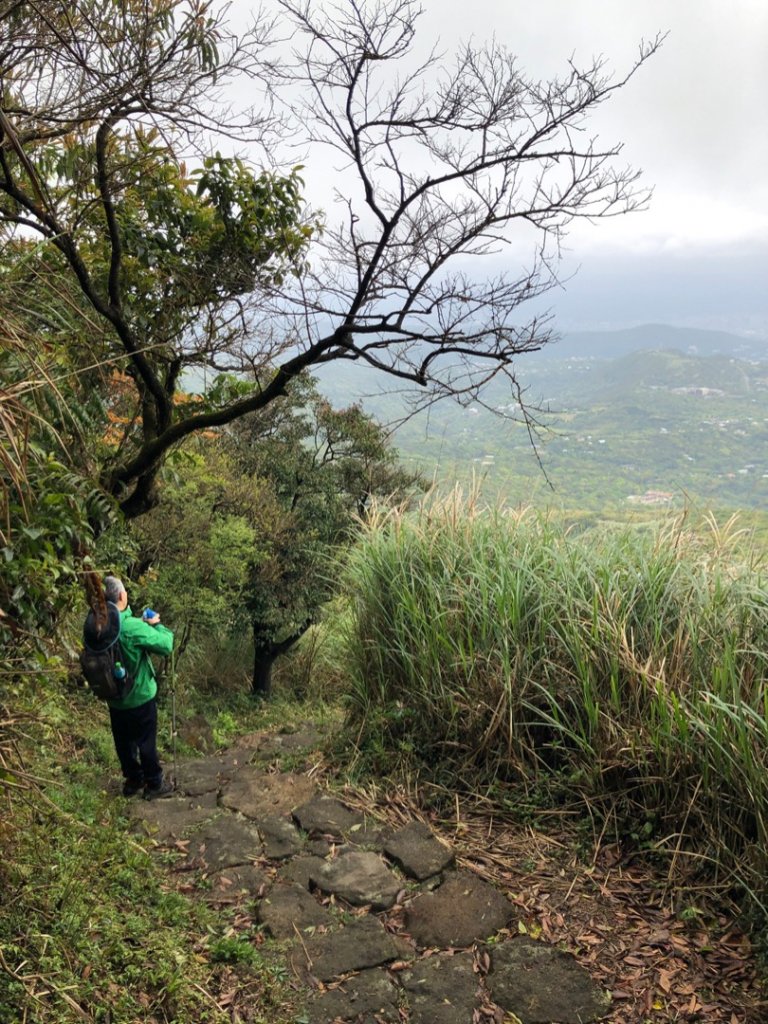 天母水管路步道、紗帽山、七星山來回走_1662121