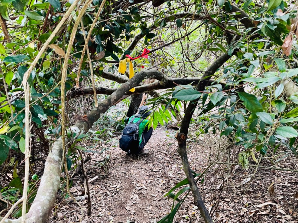 1110227美輪山_1621618