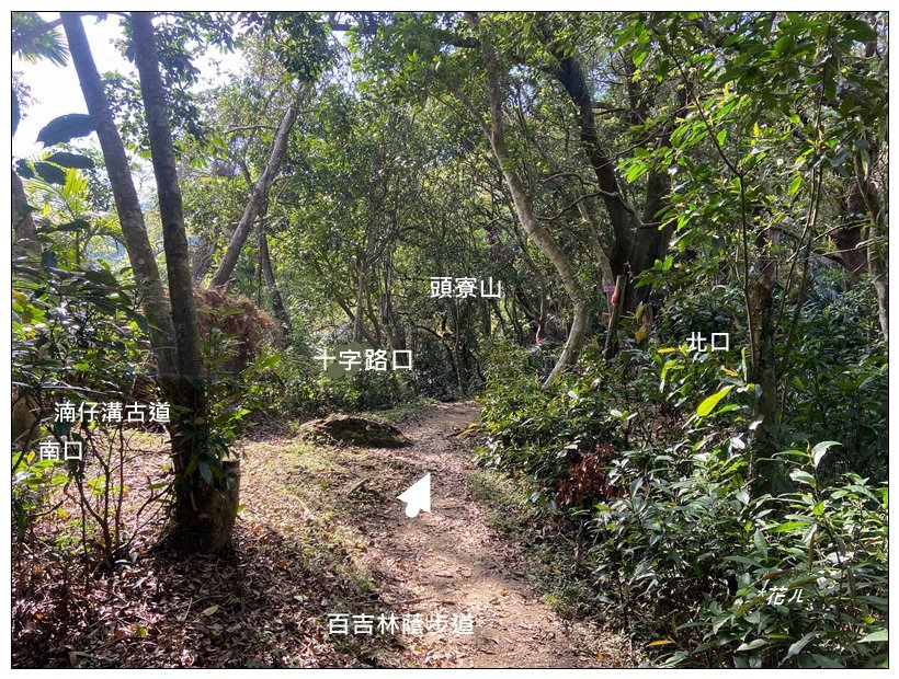 頭寮山、內湳溝山、牛角湳西南峰O型連走_2738947