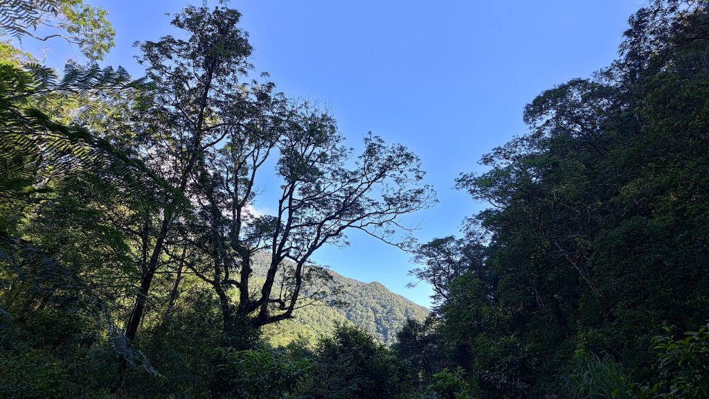 棲松縱走未竟_2918308