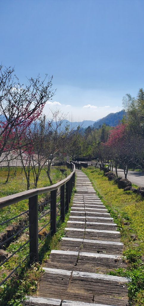 2025-01-30迷糊步道_2704431