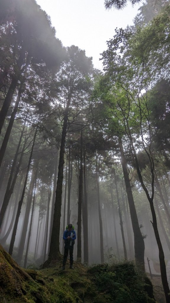 阿里山森林遊樂區_2165551