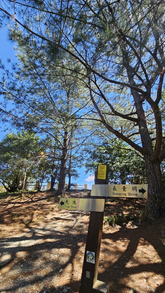 【被遺忘的南橫仙境】中之關、天池步道O繞10K_2798195
