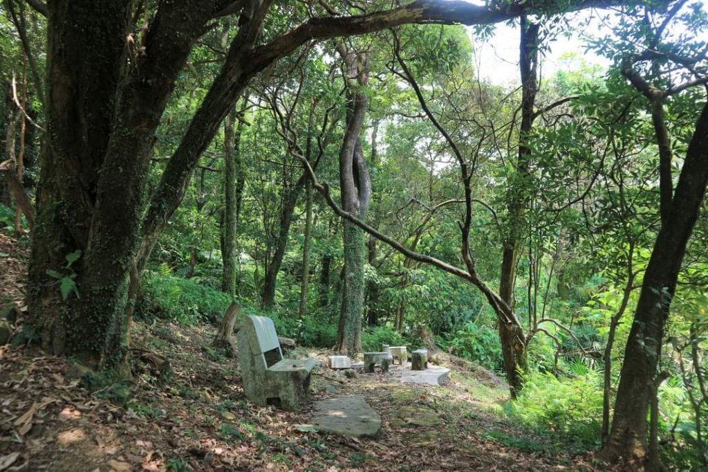 小百岳NO12  汐止大尖山 縱走海拔641公尺 四分子尾山_2228901