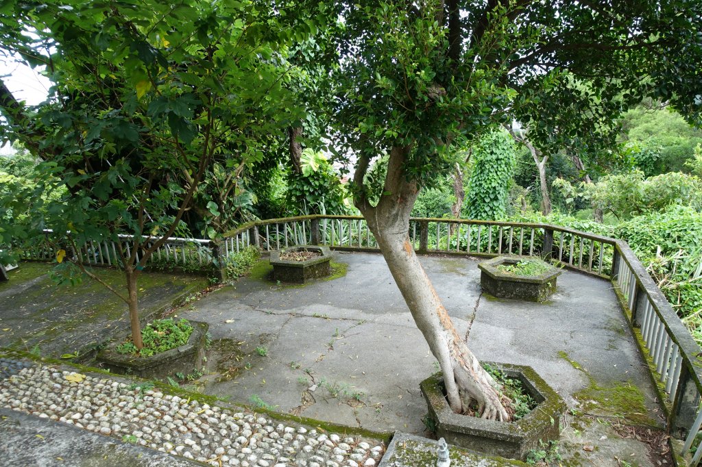 虎山自然步道．麗山橋口步道_1098168