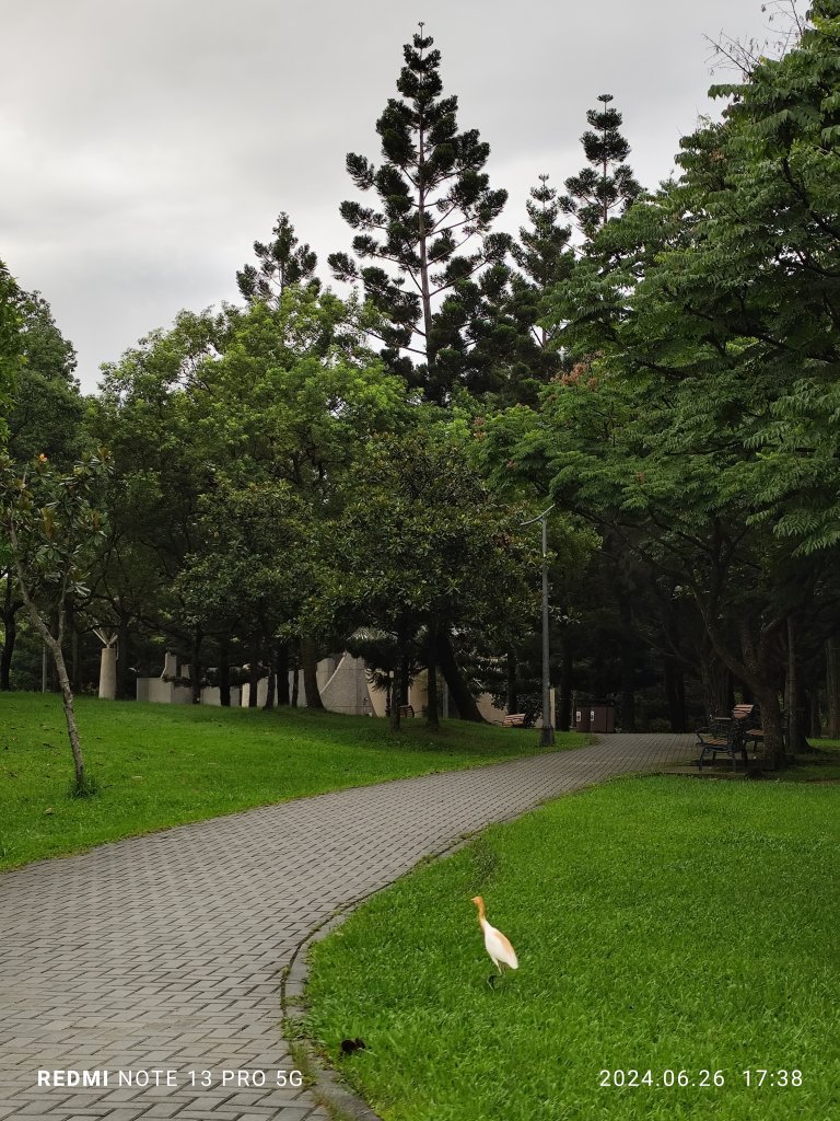 大安森林公園、寧夏夜市、士林夜市【走路趣尋寶】【臺北健走趣】_2536319