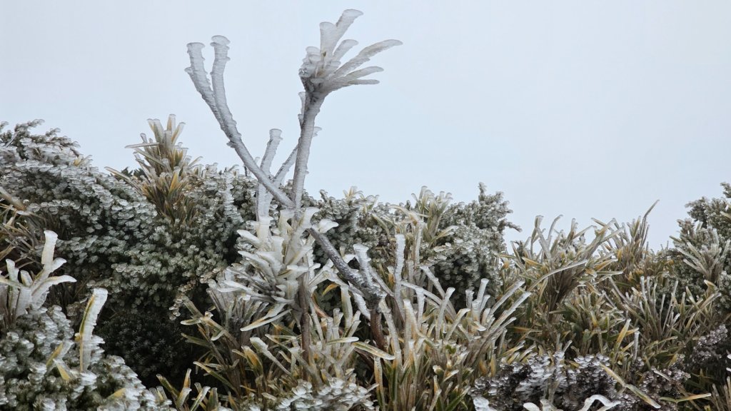 112.3.13～3.14 冰封奇萊主北_2073956