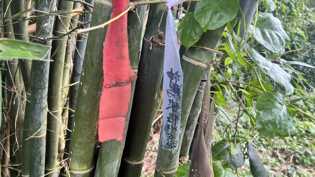 電火圳生態步道_2236129