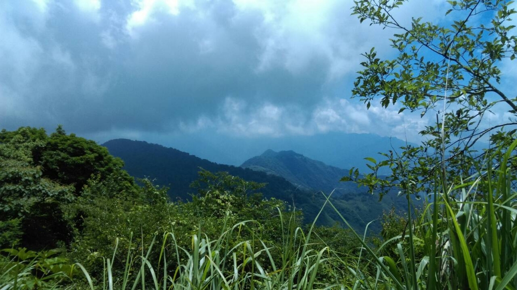 20150621新竹尖石鄉李棟山_27880