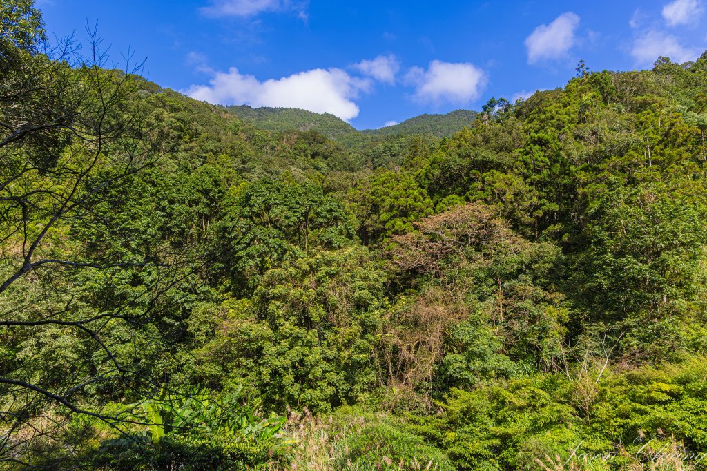 桶後越嶺_2950071