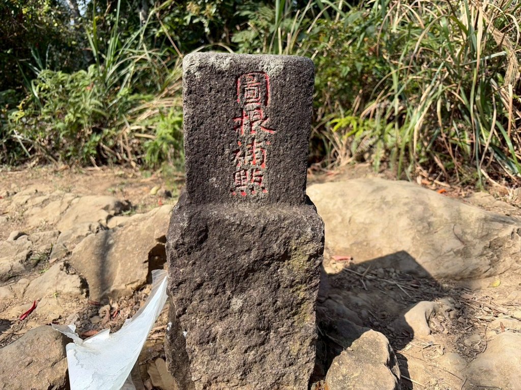桃園 大溪 頭寮山_3004515