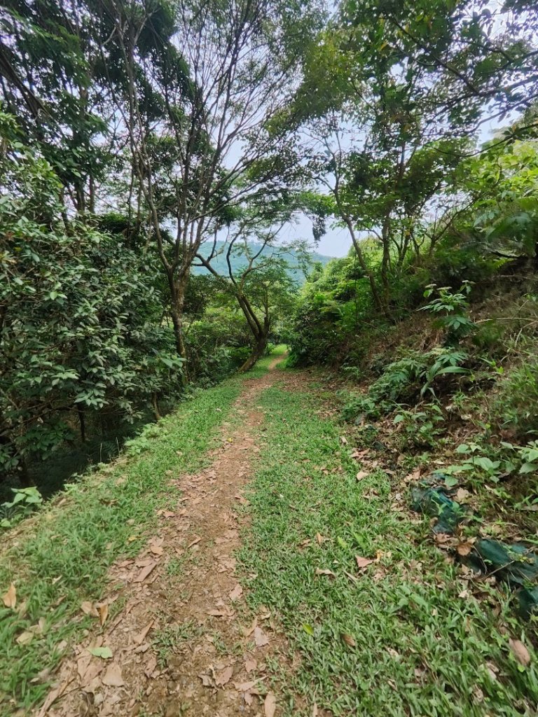 #64小百岳崁頭山、獅額山_2528566