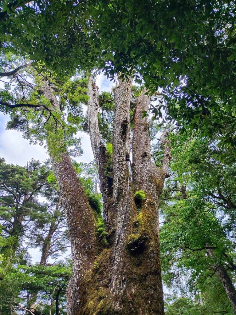 樂雪縱走_2876768