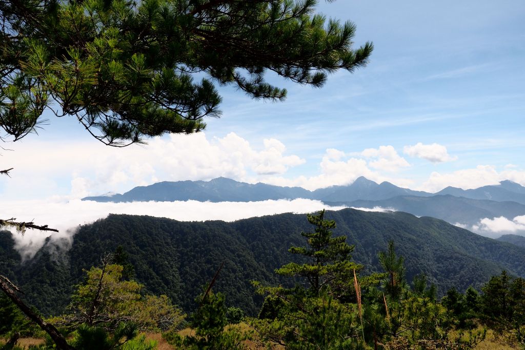 桃山獨走初秋_175022