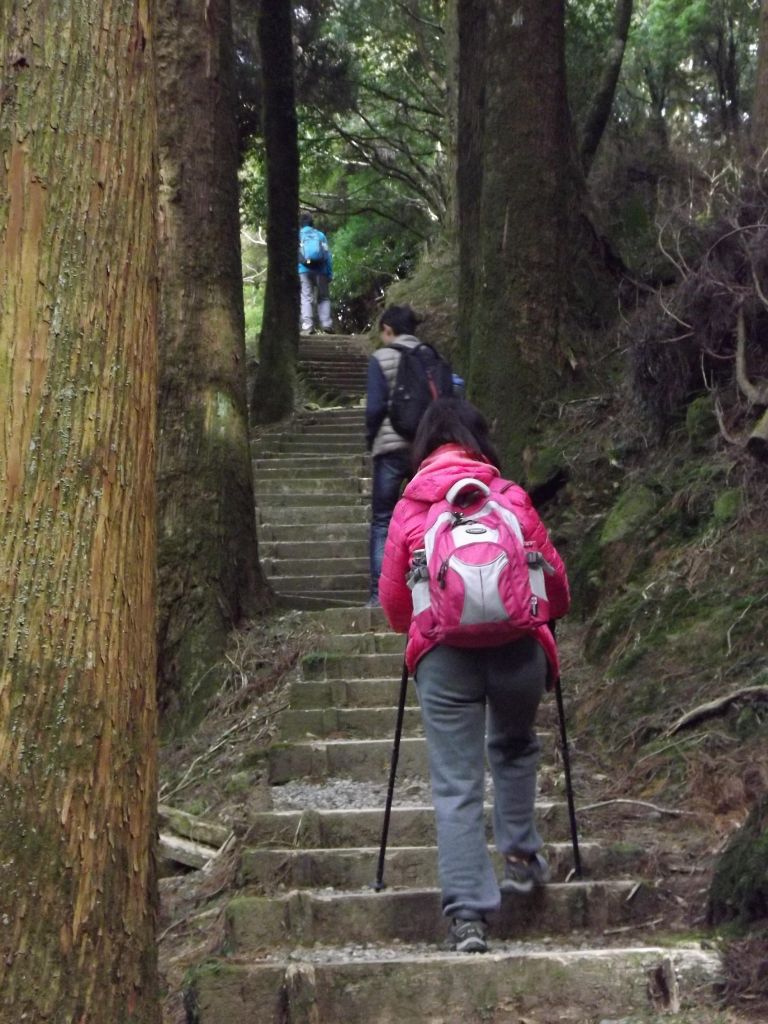 20180219大塔山_269850