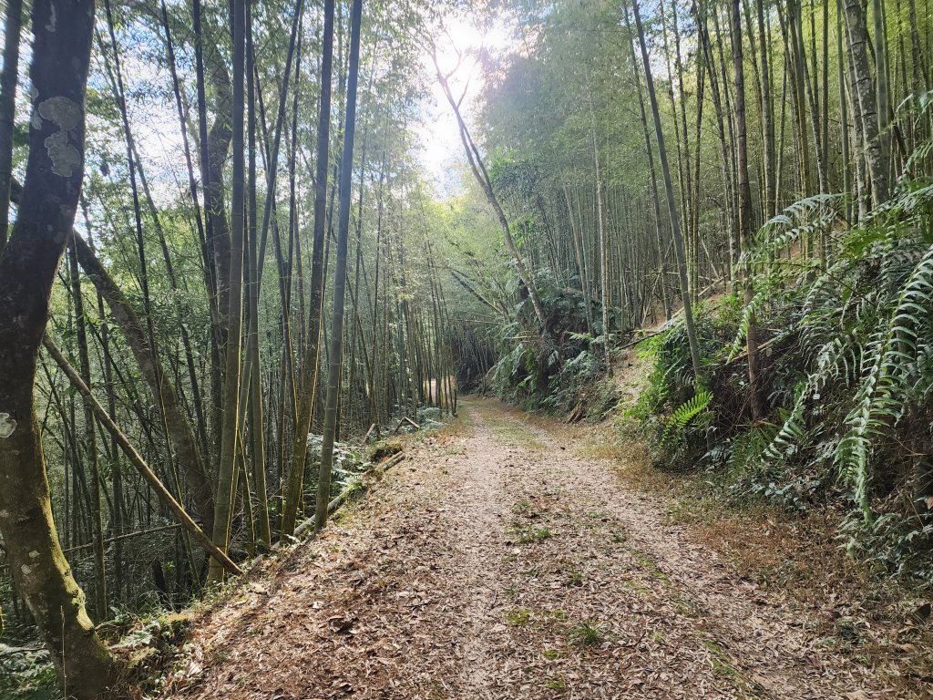 20240128過坑山大尖山_2435237