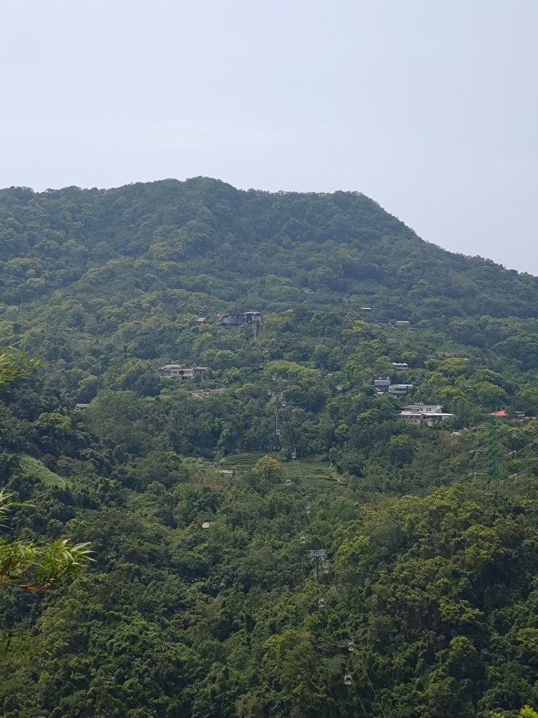 臺北大縱走第七段 世界山莊至飛龍步道政大後山_2753462