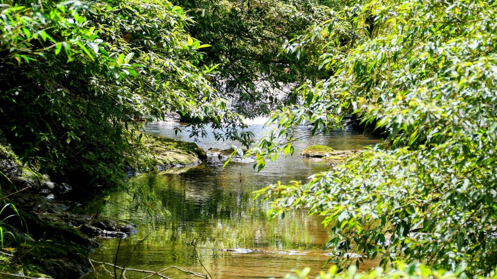 畝畝山。又上說_2768134