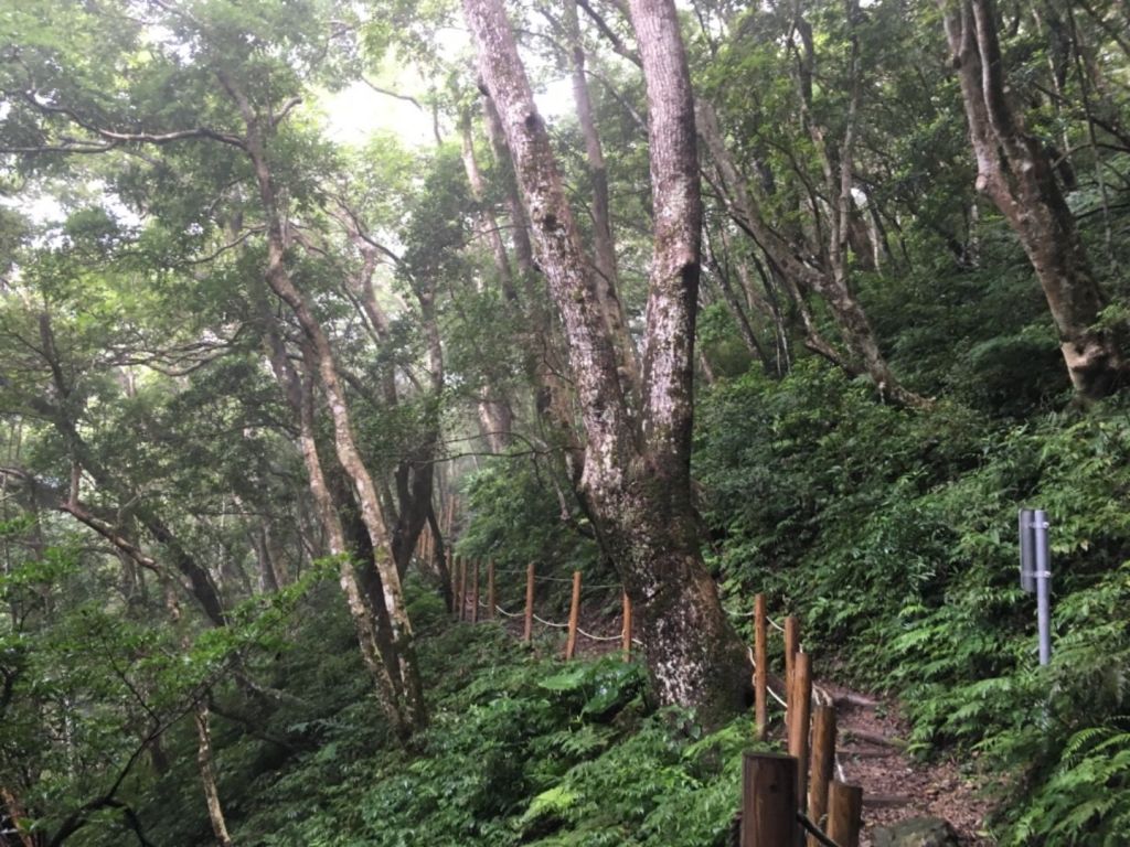 滿月圓上東滿步道止於三岔路_393642