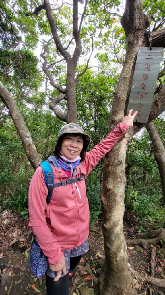 觀音山硬漢嶺步道_1900445