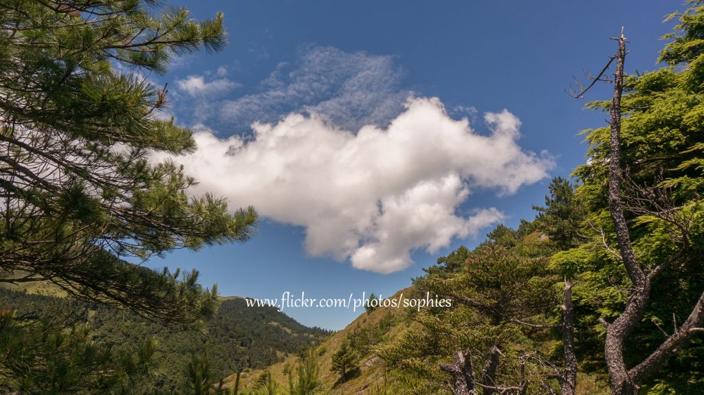 20180714合歡山北峰封面圖