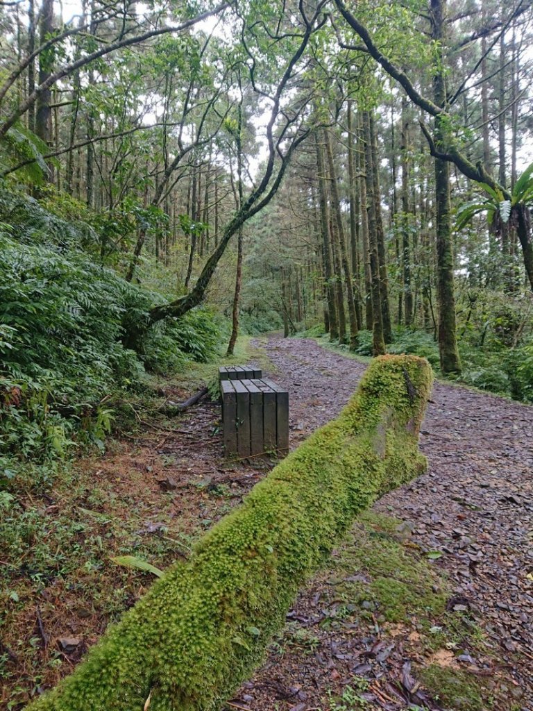 淡蘭古道支線（象寮、平溪、石空古道）O走_1945711