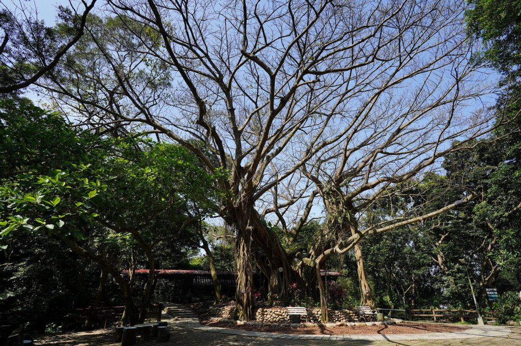 新北 中和 南勢角山、五尖山、牛埔頭山、外南勢角山_2437915
