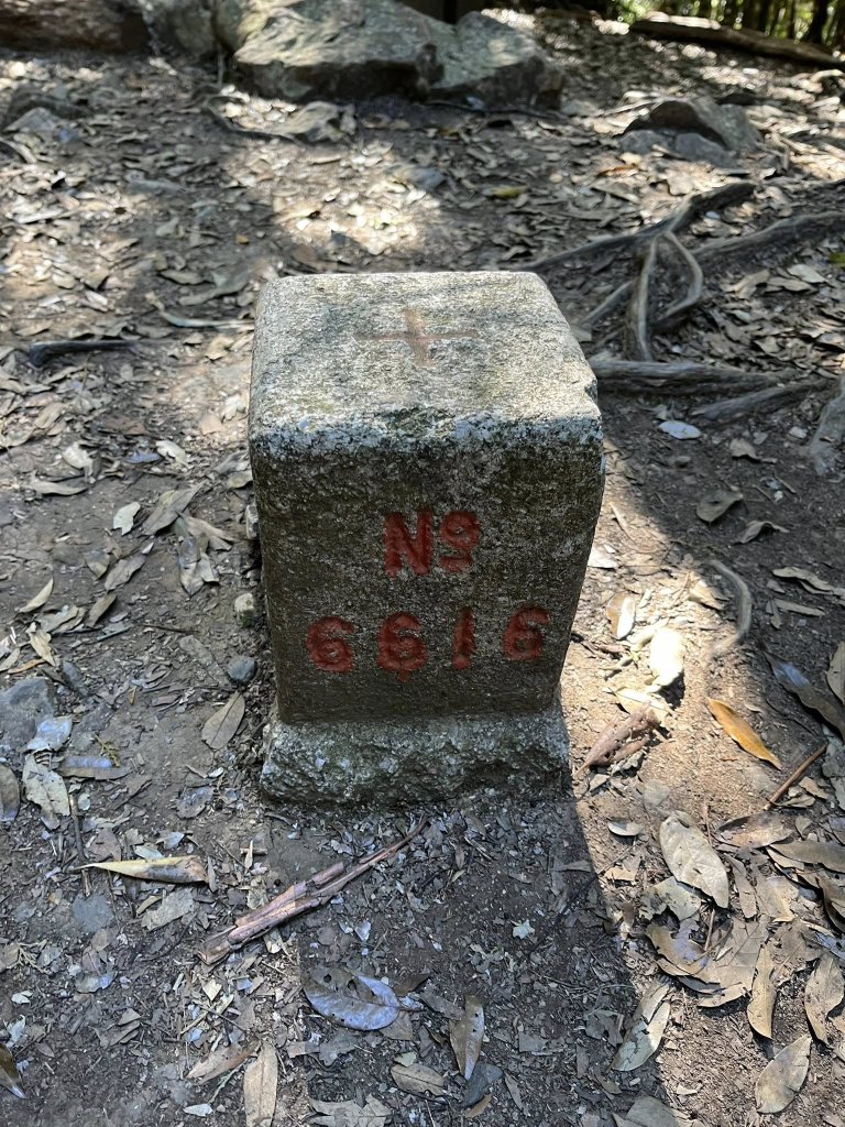 雪見大板根_2959265