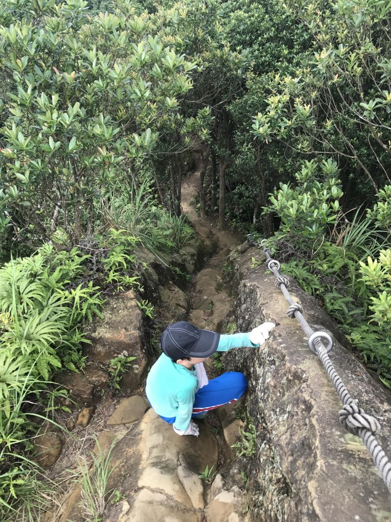 皇帝殿東峰_139087