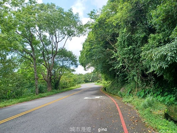 【桃園復興】台灣百大必訪步道。 東眼山森林遊樂區-東眼山自導式步道_2835911