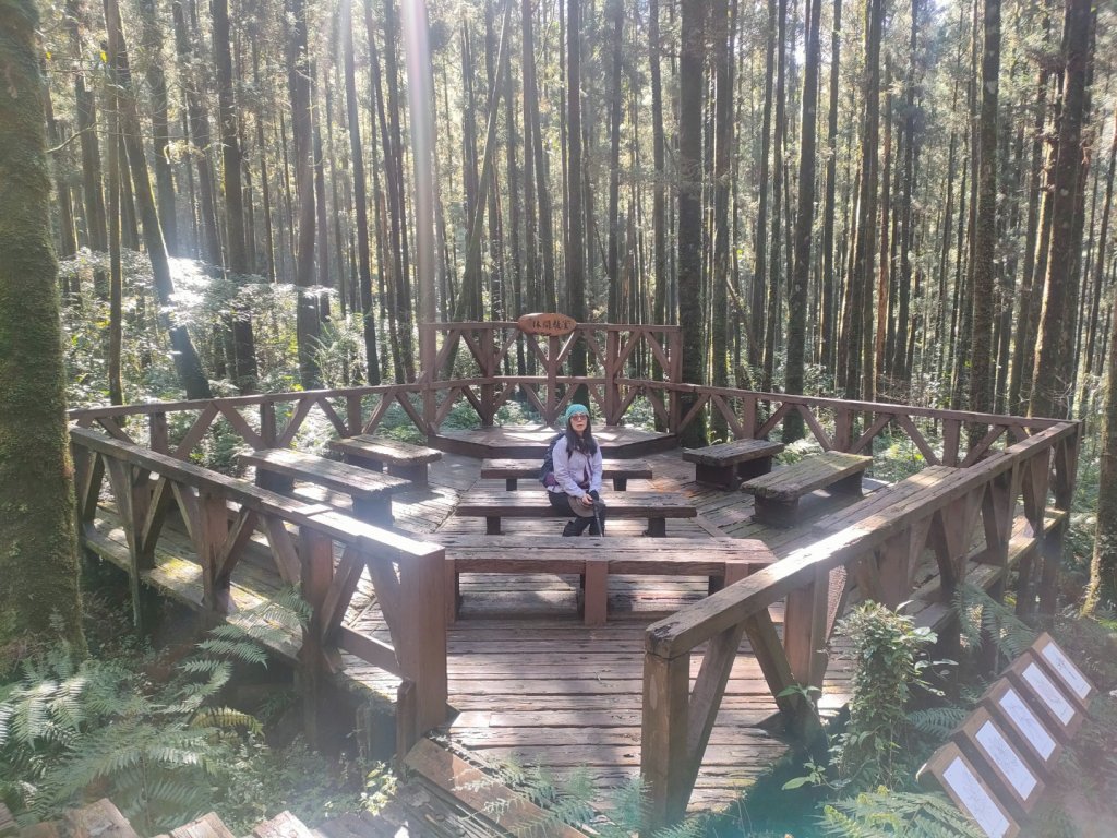 20220226 明池森林遊樂園，棲蘭神木園_1618903