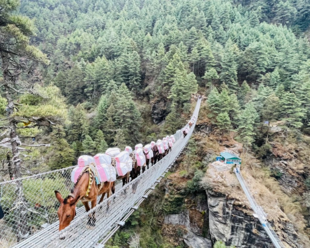 尼泊爾聖母峰EBC基地營❤️風景篇_2790937
