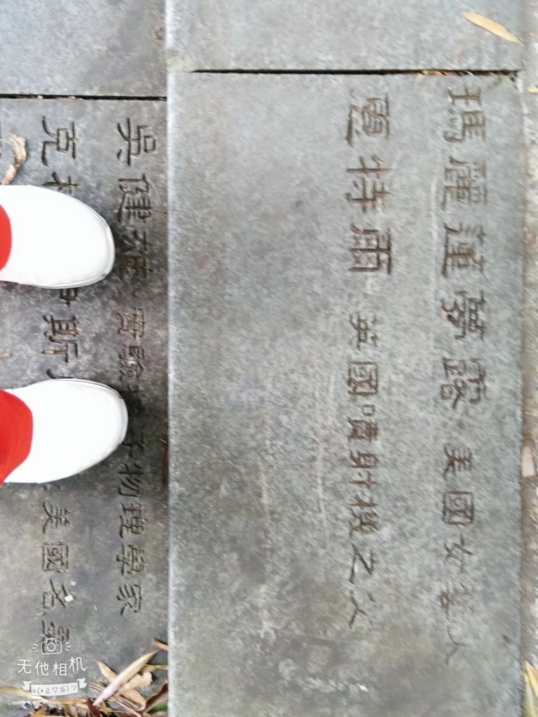 南投魚池~尋找自己生日的階梯。年梯步道_1027947