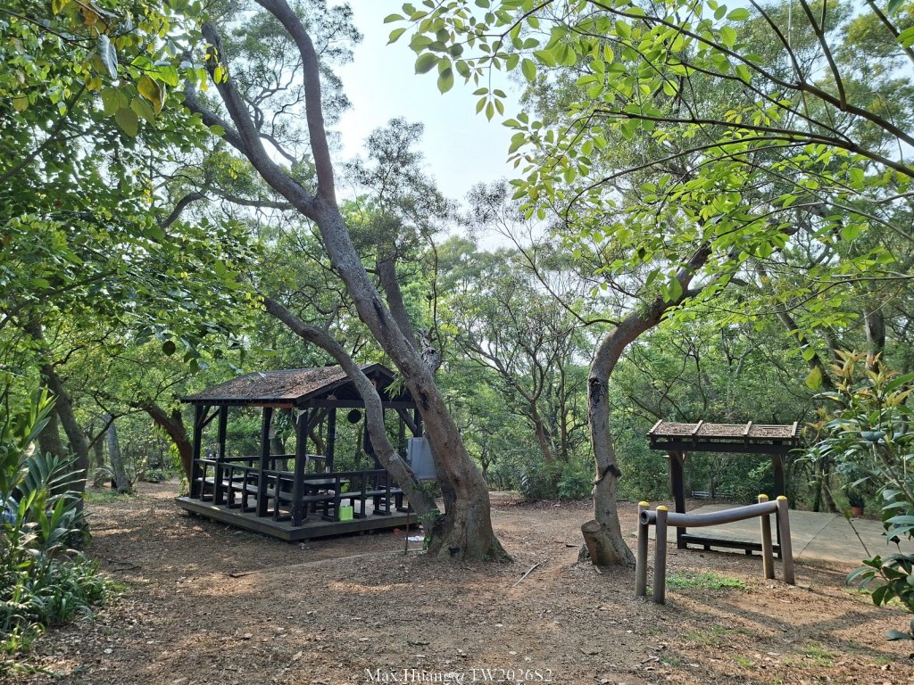 《台中》綠色隧道｜大肚環保公園登山步道O繞20260418_3038506