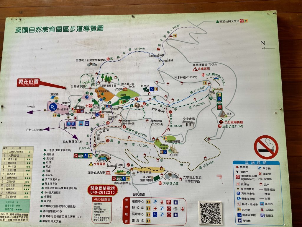 溪頭散步悠遊    2024.5.20_2517675