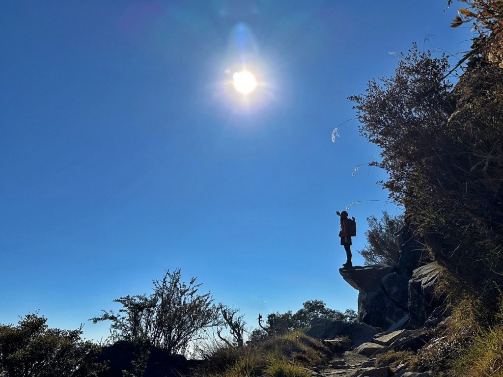 玉山前峰 漫步雲端 草坪頭賞花_2010398