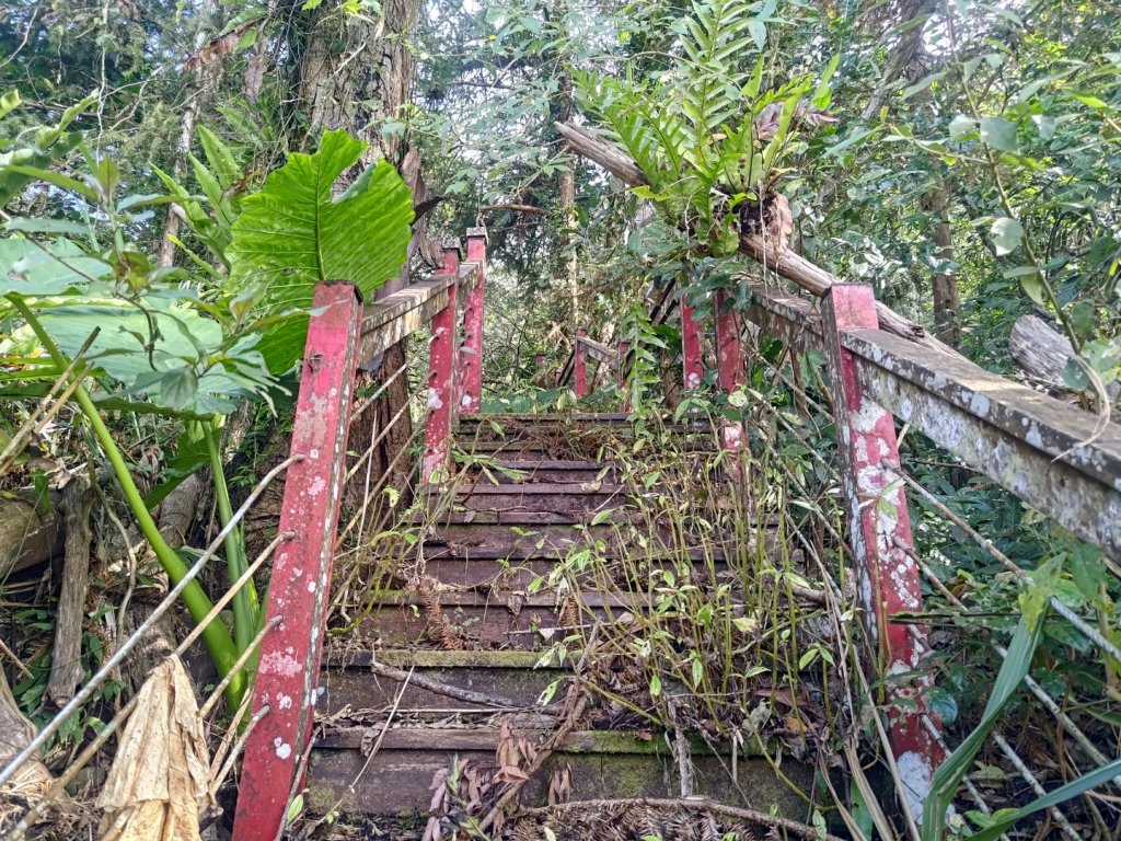 回歸自然的山羊古道_2678640