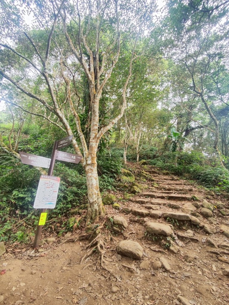 馬那邦山_2666829