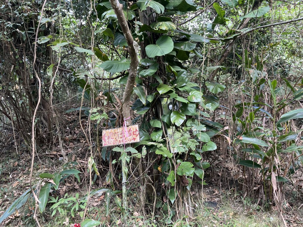 2023_1118 三腳南山_2353223