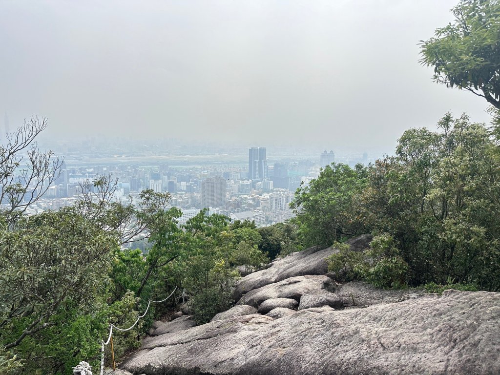 金面山O型縱走_2476480