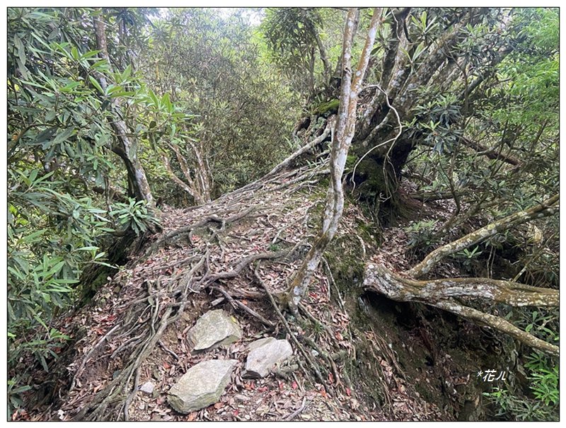 巴蜈縱走 (27.6K一日長征)_2780357